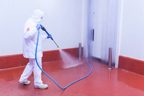 Best Boat and Dock Cleaning  in Mountainhome, PA